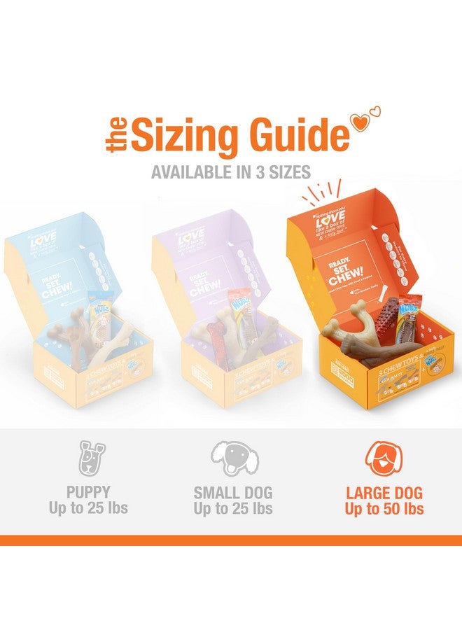 Nylabone Dog Gift Box, Includes 3 Strong Chew Toys and 1 Natural Treat, Gifts for Dogs, Large - Up to 50 lbs, 4 Pack - Image 3