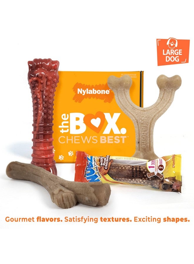 Nylabone Dog Gift Box, Includes 3 Strong Chew Toys and 1 Natural Treat, Gifts for Dogs, Large - Up to 50 lbs, 4 Pack - Image 2