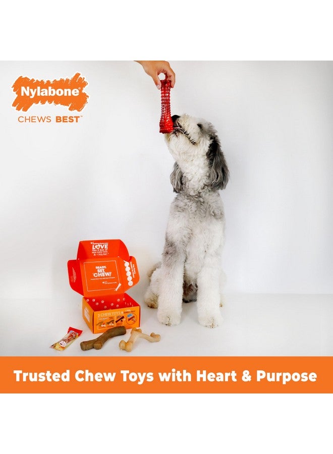 Nylabone Dog Gift Box, Includes 3 Strong Chew Toys and 1 Natural Treat, Gifts for Dogs, Large - Up to 50 lbs, 4 Pack - Image 1