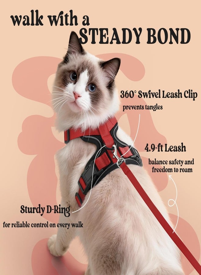 رابيتجو طقم حزام ومقود للقطط من رابيت جو، سترة مانعة للهروب لنزهات خارجية آمنة، سترة ناعمة قابلة للتعديل وجيدة التهوية مع شرائط عاكسة للقطط الصغيرة والمتوسطة، أسود وأحمر، صغير - Image 5