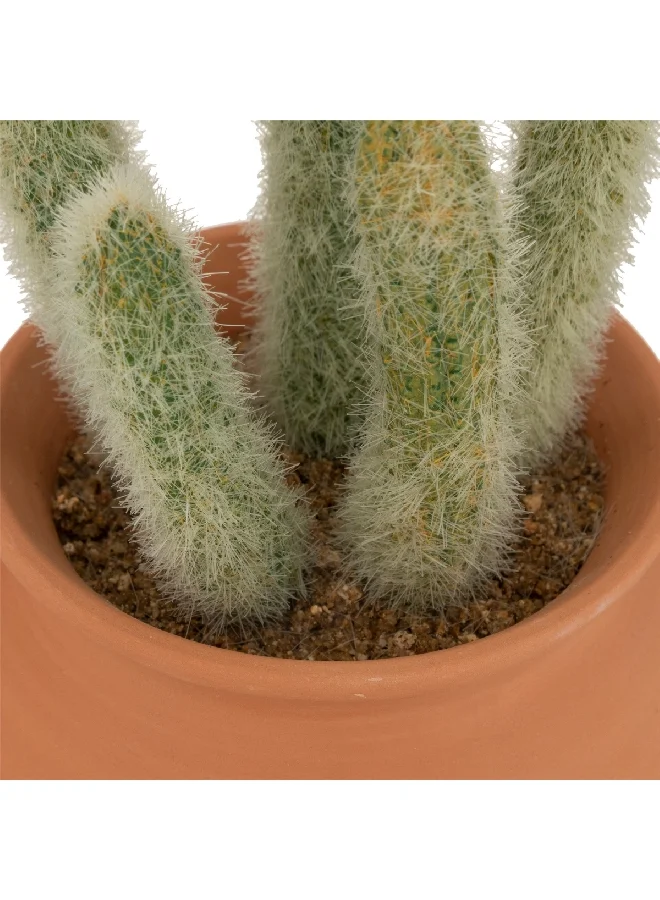 atmosphera Easy Maintenance Realistic Looking Decorative Artificial Cactus Plant with Pot Green and Brown 8 x 17 x 17 cm 189121