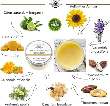 BEES of BRITAIN بلسم طبيعي 100% من زبدة الشيا والكاكاو وشمع العسل يصلح ويهدئ ويرطب نتبرع بـ 5% من أرباحنا لإنقاذ النحل الملقحات 100 مل - Image 2