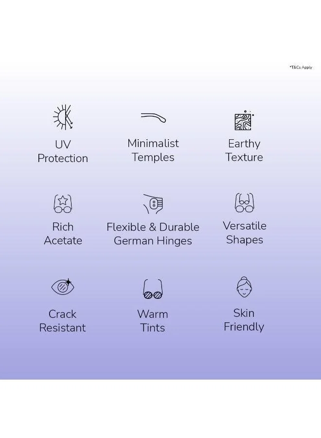 John Jacobs  Green Green Full Rim Cat Eye John Jacobs JJ Tints JJ S17340 W Sunglasses  | Best Price UAE