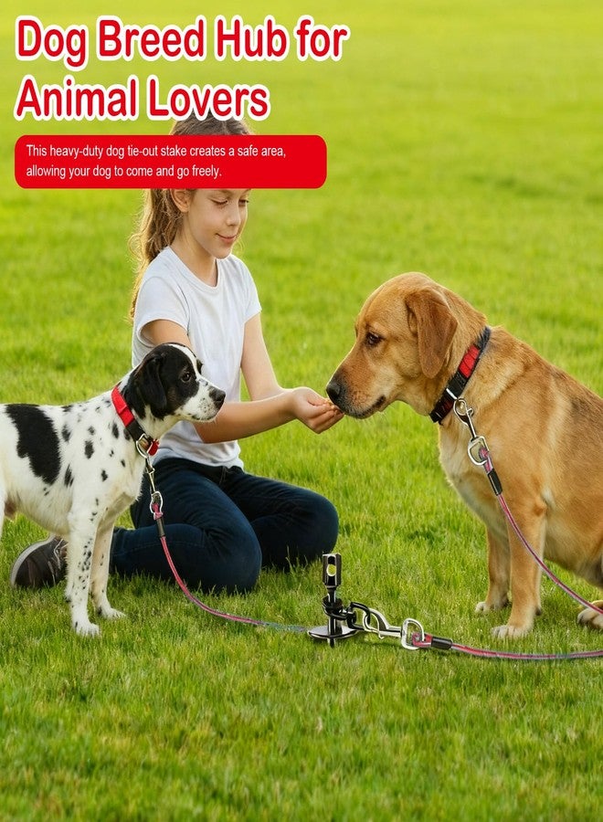 CIYOJA Dog Tie Out Stake Heavy Duty: 14.9in x0.47in Spiral Ground Anchor with 360° Stainless Swivel, Drill Adapter and Manual Steel Rod, Strong Tie Out System for Large Dogs in Yard and Outdoor Use - Image 5