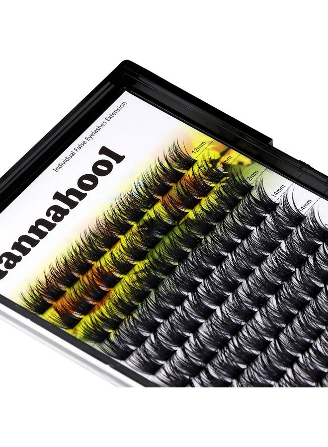 Hannahool Large Pack,Diy Eye Lashes Extensions 120Pcs Wide Stem Cluster Eyelashes Mixed 10-12-14-16Mm/14-16-18Mm/12-14-16Mm Individual False Eyelashes Dramatic Look (Mixed 12-14-16Mm) - Image 2
