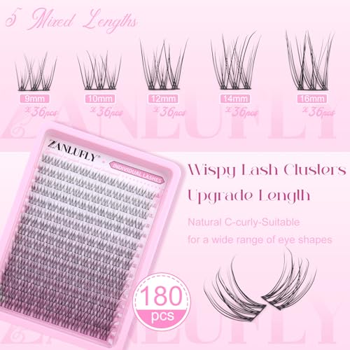 zanlufly Lash CLusters Wispy Eyelash Clusters Natural Lash Extensions C-Curly DIY Eyelash Extensions zanlufly 180Pcs Individual Lashes(9MM 10MM 12MM 14MM 16MM) - Image 2