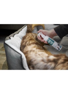 Dew Pet Wound Care 250ml Natural Non Toxic Non Stinging  Antiseptic Relief For Dogs & Cats - pzsku/ZAE6025C2E8E04562F7F6Z/45/_/1723812866/4034d4f9-6bf3-4c15-b4d4-d16d5d5bf156