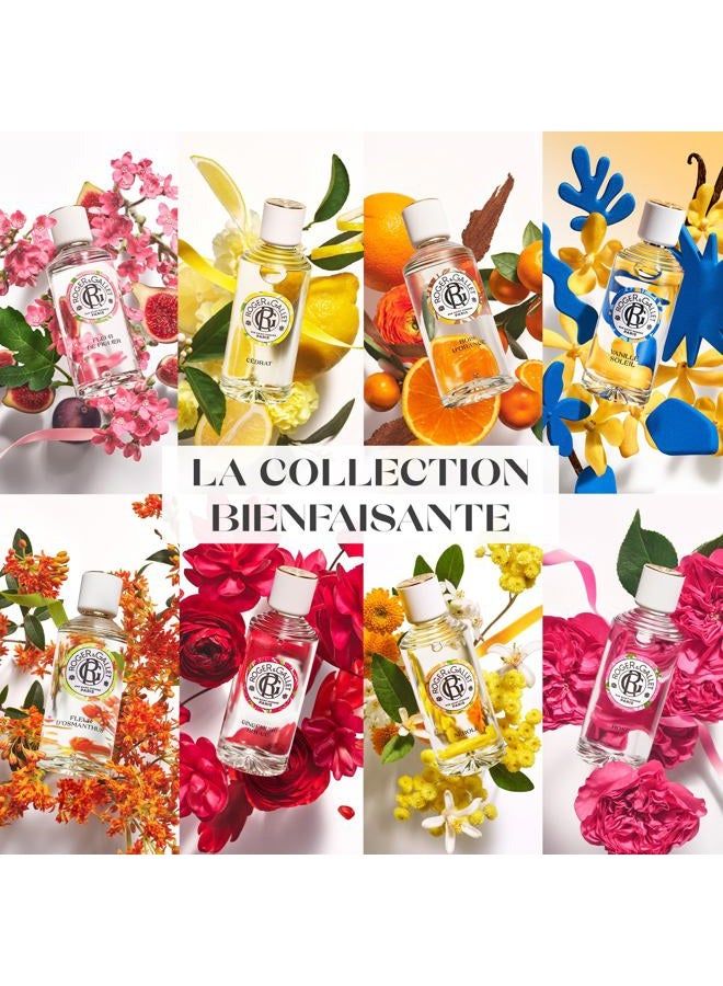 ROGER & GALLET Body Wash & Shower Gel for Women | Gingembre Rouge - Red Ginger 6.6 Oz - Image 5