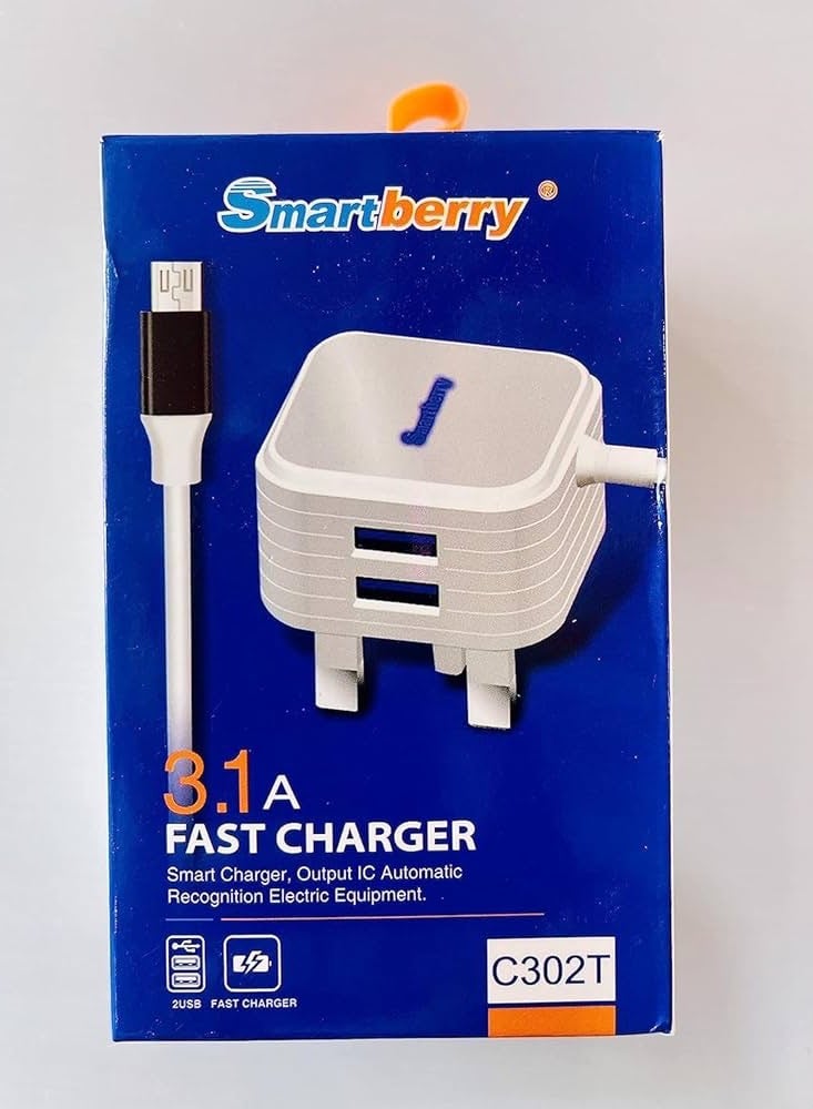 سمارت بيري Smartberry 3.1 شاحن منزلي سريع من النوع C - Image 1