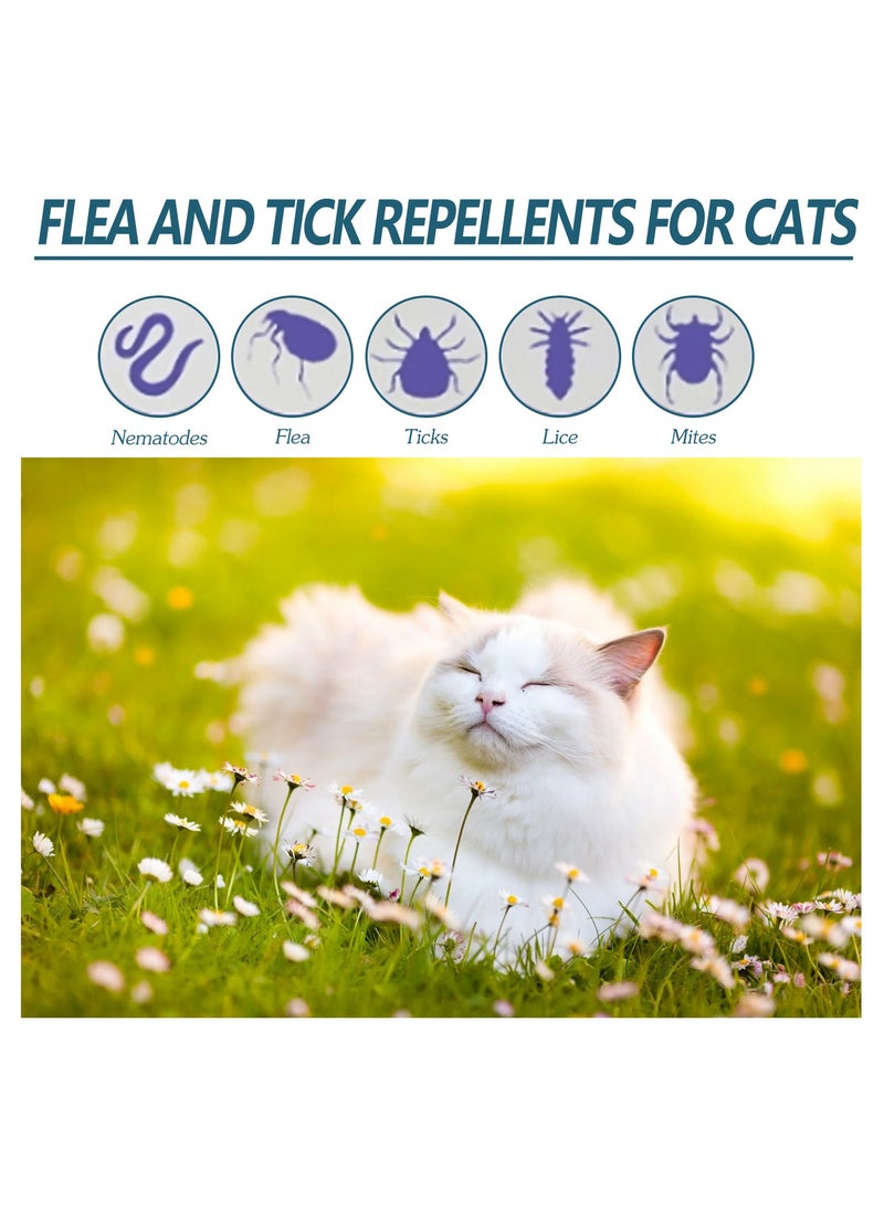 YEGBONG - Pet anti-flea and tick agent for cats and dogs external repellent skin cleaning drops to remove lice and ticks - Image 1