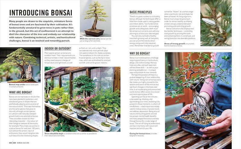 Grow Bonsai - Image 5