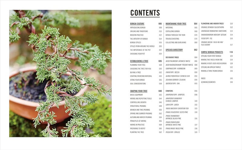 Grow Bonsai - Image 4