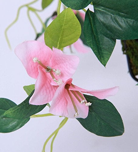 Fourwalls Decorative Polyester Artificial Bougainvillea Plant With Hanging Basket (40 Cm, Pink, Hanging 23 Cm Bougainvillea -1580-Pk), Artificial Plant - Image 4