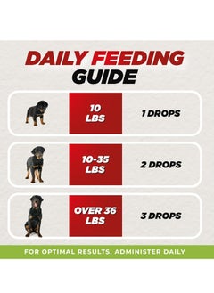 Buddy Allergy and Itch Support for Dogs Natural Non Drowsy Drops for Skin and Coat Comfort Helps Maintain Healthy Skin and Immunity Easy to Use Suitable for All Breeds  - Image 4