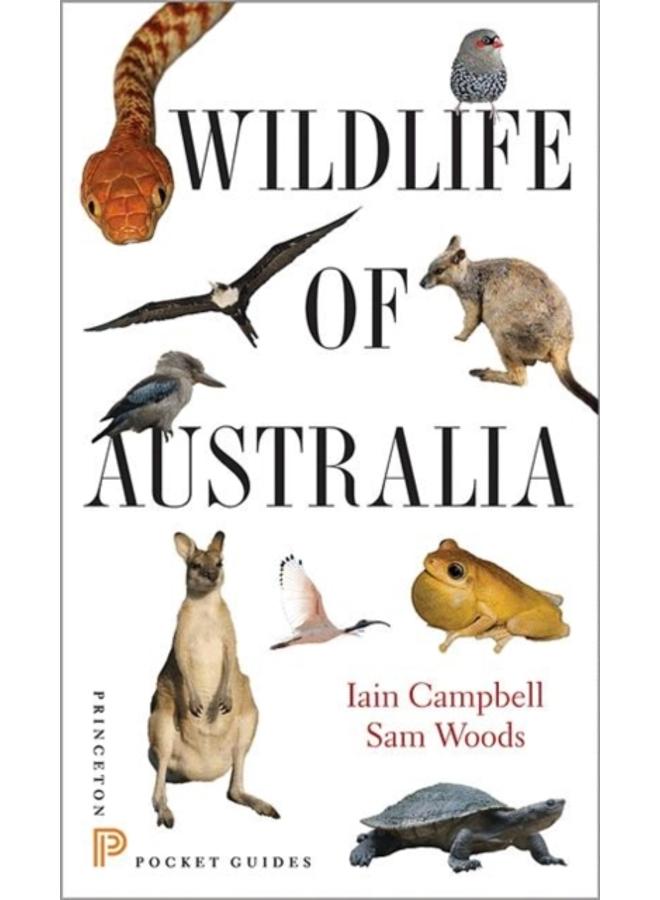 Wildlife of Australia