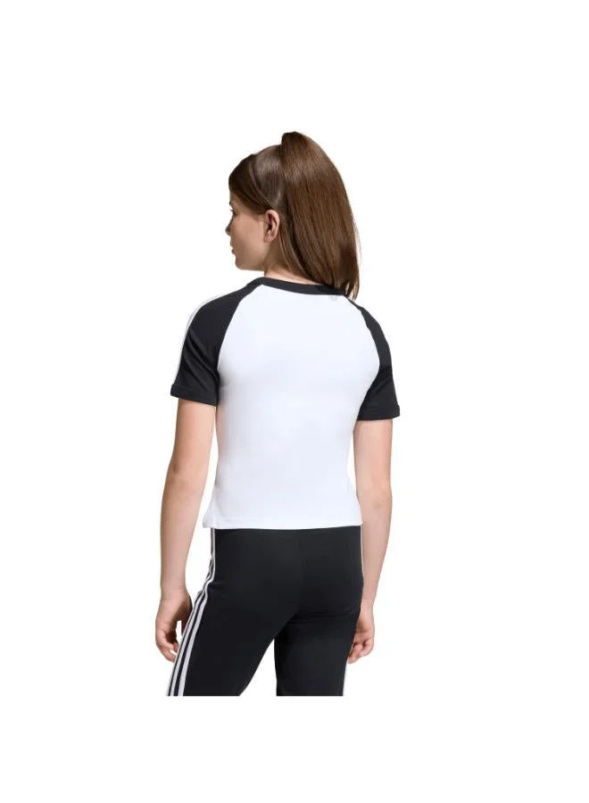 adidas Originals 3 STRIPES SLIM T-Shirt