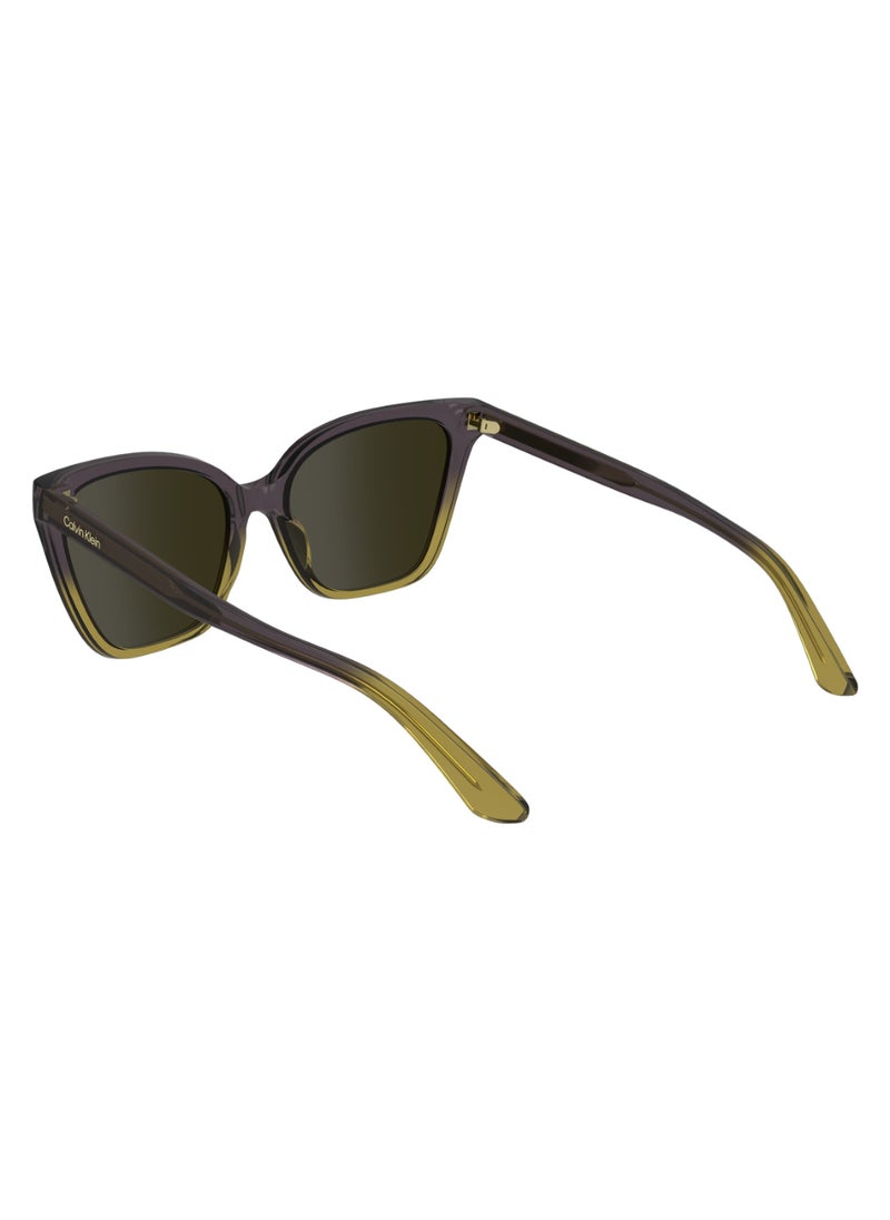 CALVIN KLEIN FULL RIM BIO INJ-G820 CAT EYE CALVIN KLEIN SUN CK24507S  5717 (516) VIOLET/BEIGE  - Image 5