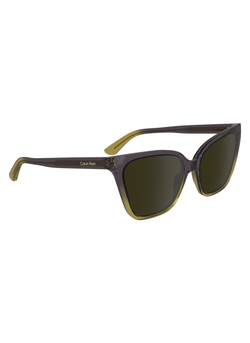 CALVIN KLEIN FULL RIM BIO INJ-G820 CAT EYE CALVIN KLEIN SUN CK24507S  5717 (516) VIOLET/BEIGE  - Image 3