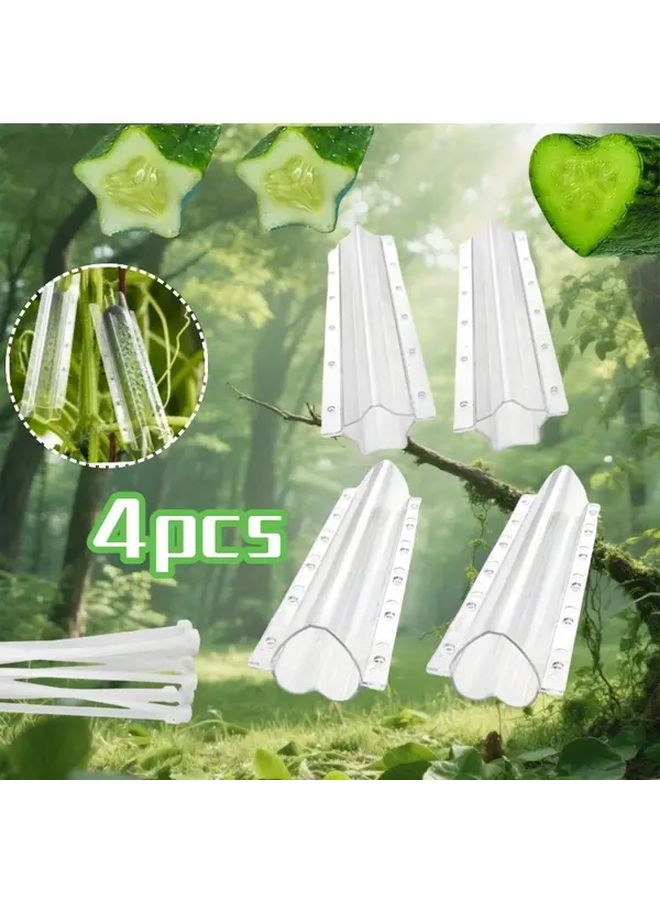 4 Molds Transparent Cucumber Shaping Tools Star Heart Vegetable Growth Mold Easy Use - Image 1