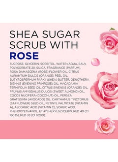 Shea Sugar Scrub – Rose Essential Oil with Shea Butter & Macadamia Seed Oil, 19 OZ / 538g - pzsku/ZAE67F61F4A7935A4C8FDZ/45/_/1725196775/a8920626-5b3b-485f-a27a-d2c970238e51