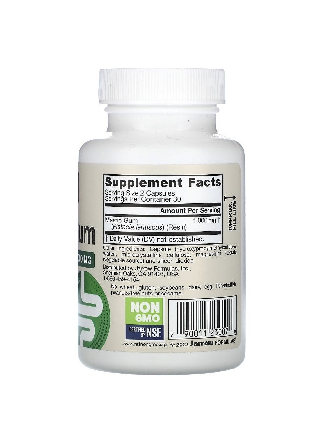 jarrow formulas - Jarrow Formulas, Mastic Gum, 1,000 mg, 60 Veggie Capsules (500 mg per Capsule) - Image 1