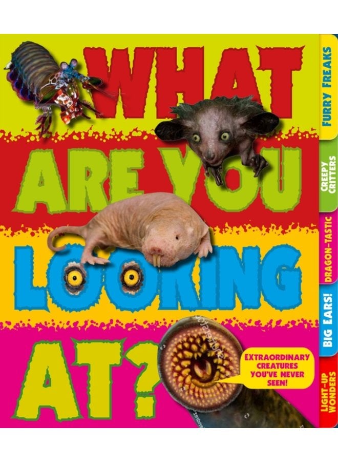 What Are You Looking At Extraordinary creatures you ve never seen - Paperback