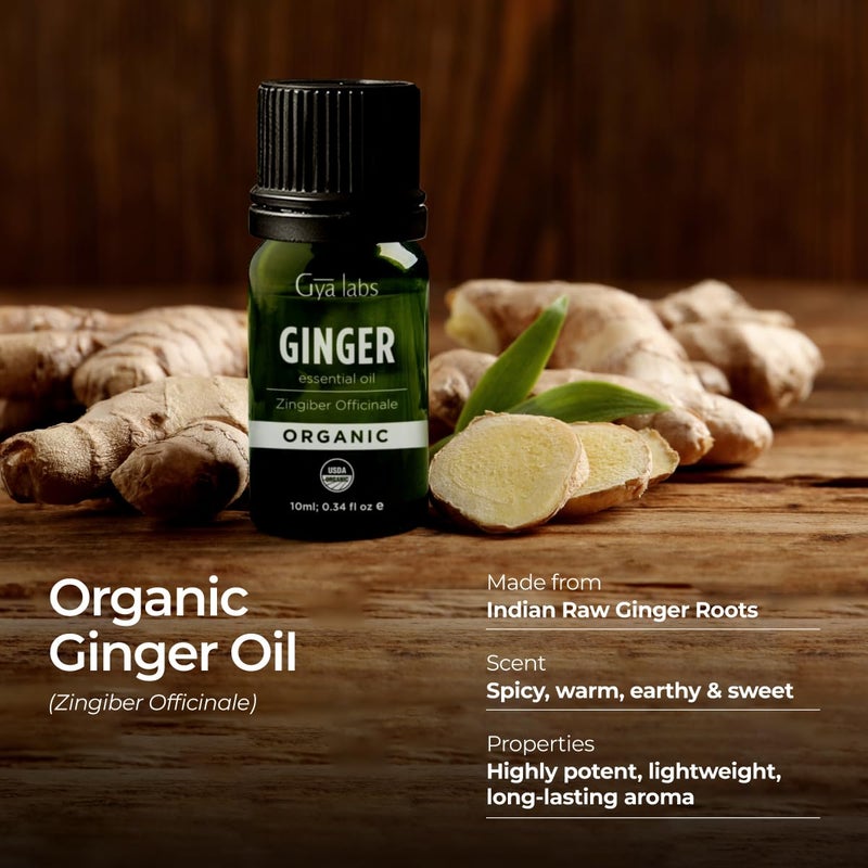 Gya Labs Organic Ginger Essential Oil - 0.34 Fl Oz - for Skin, Hair, Diffuser, Aromatherapy, DIY Candle Making Scents - Image 3
