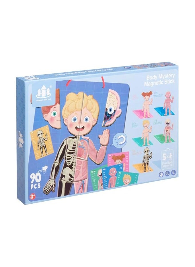 Body Structure Model Board Game for Children - Multi Color - Image 1
