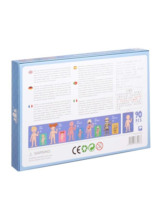 Body Structure Model Board Game for Children - Multi Color - Image 2