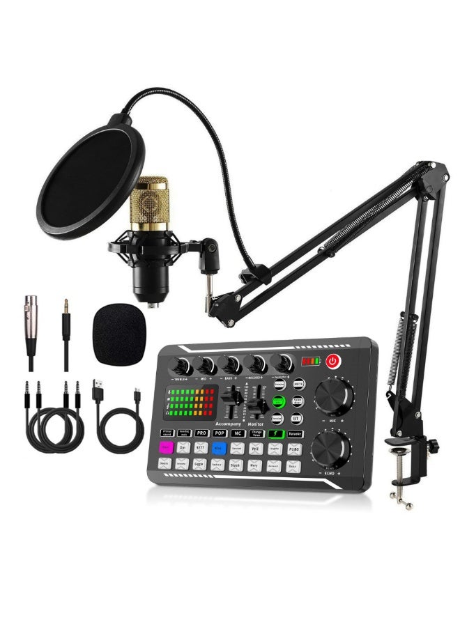 KUYING New Professional Home KTV Singing Recording Home Karaoke Microphone 