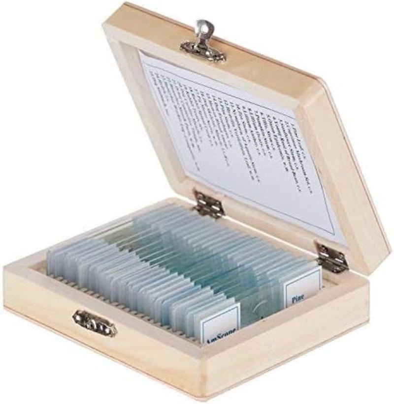 AmScope AmScope PS25W Prepared Microscope Slide Set for Basic Biological Science Education 25 Slides Includes Fitted Wooden Case  - Image 2