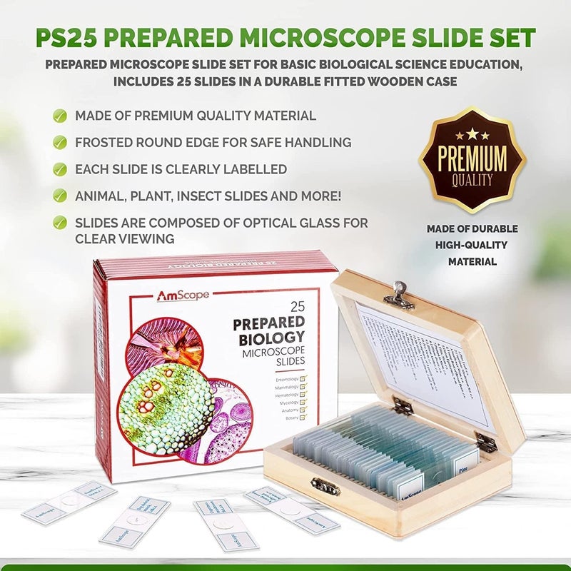 AmScope AmScope PS25W Prepared Microscope Slide Set for Basic Biological Science Education 25 Slides Includes Fitted Wooden Case  - Image 4