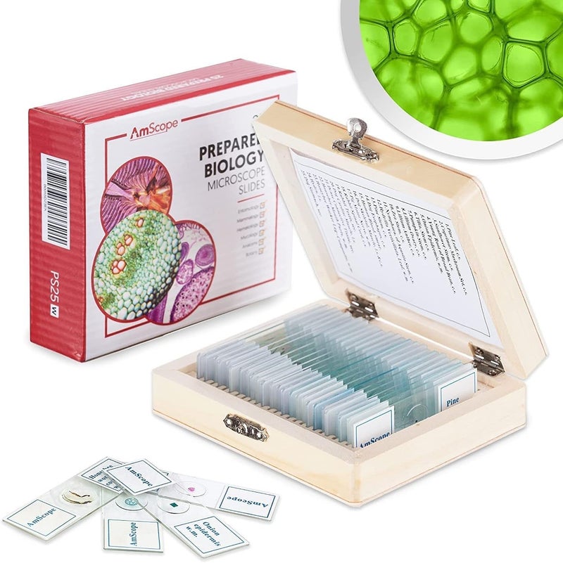 AmScope AmScope PS25W Prepared Microscope Slide Set for Basic Biological Science Education 25 Slides Includes Fitted Wooden Case  - Image 1