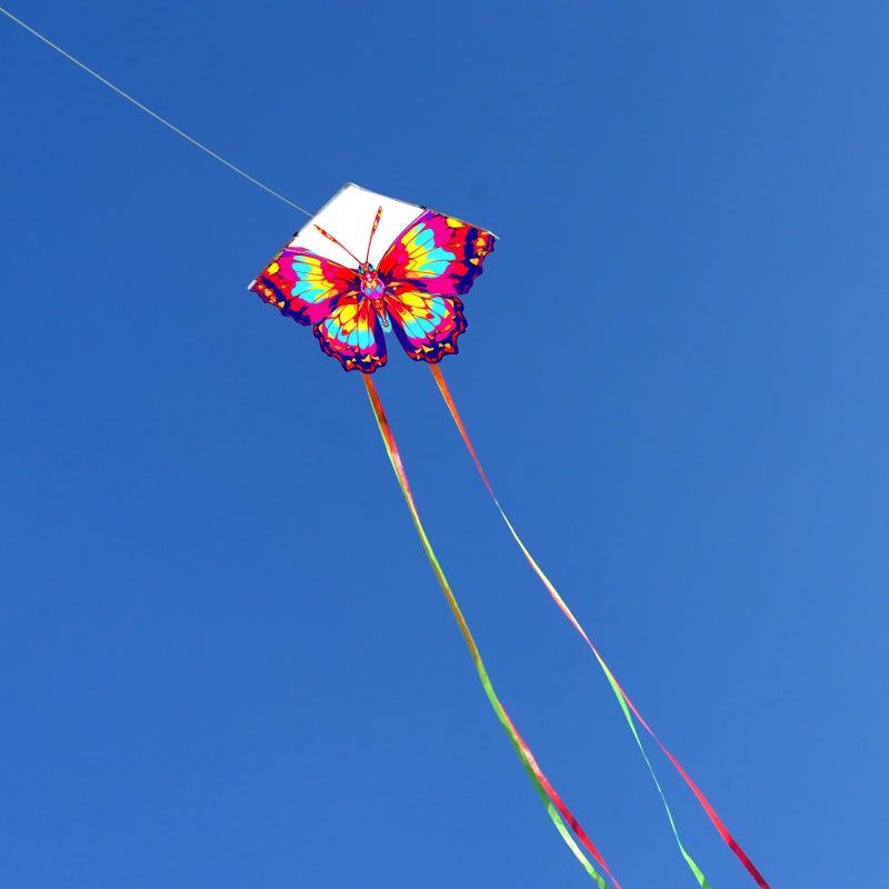 HENGDA KITE 2 Pack Butterfly Kite,for Kids and Adults,Easy to Fly,Excellent Fabric and Structure Design,The Pictures are Beautiful in high Definition,Suitable for Beginners(31x22) - Image 5