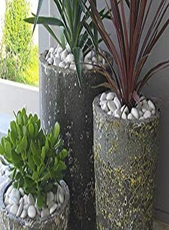 Bum Bum Bhole Polished Marble Pebbles for Garden D?cor (2.5 Kg, 15-35 mm, White & Black) - Image 4