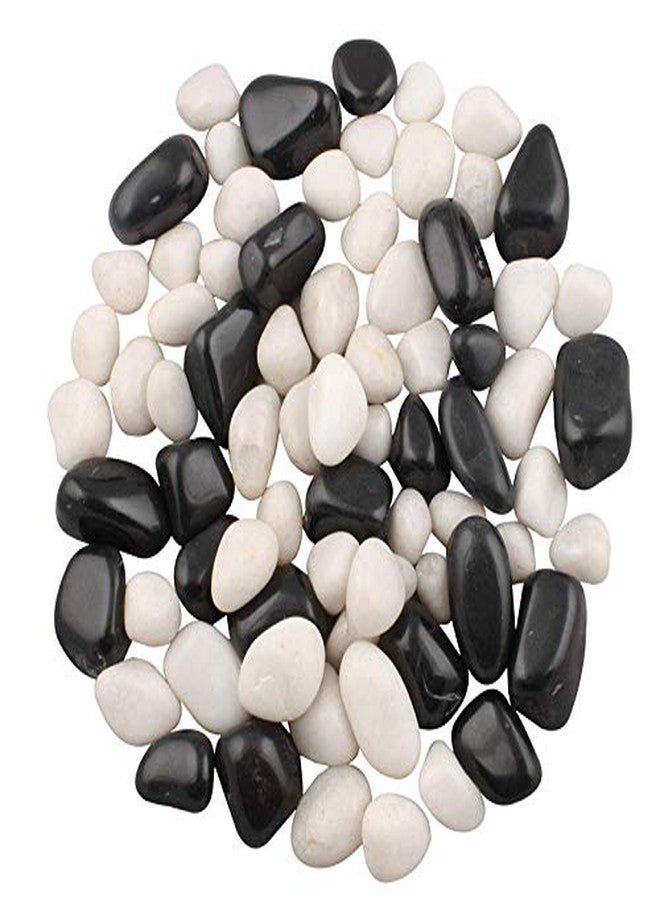 Bum Bum Bhole Polished Marble Pebbles for Garden D?cor (2.5 Kg, 15-35 mm, White & Black) - Image 1