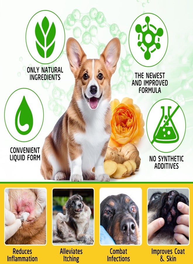 ARMOYA Natural Yeast Infection Treatment for Dogs - Helps to Support Itch Relief - Inflammation Relief & More - Dog Yeast Infection Treatment - Dog Ear Infection Treatment - Dog Allergy | 2 Oz - Image 5