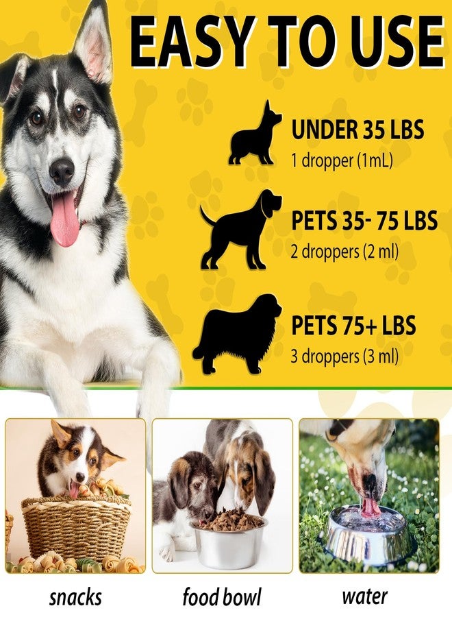 ARMOYA Natural Yeast Infection Treatment for Dogs - Helps to Support Itch Relief - Inflammation Relief & More - Dog Yeast Infection Treatment - Dog Ear Infection Treatment - Dog Allergy | 2 Oz - Image 4