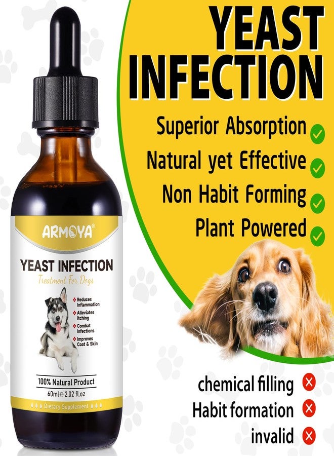 ARMOYA Natural Yeast Infection Treatment for Dogs - Helps to Support Itch Relief - Inflammation Relief & More - Dog Yeast Infection Treatment - Dog Ear Infection Treatment - Dog Allergy | 2 Oz - Image 2