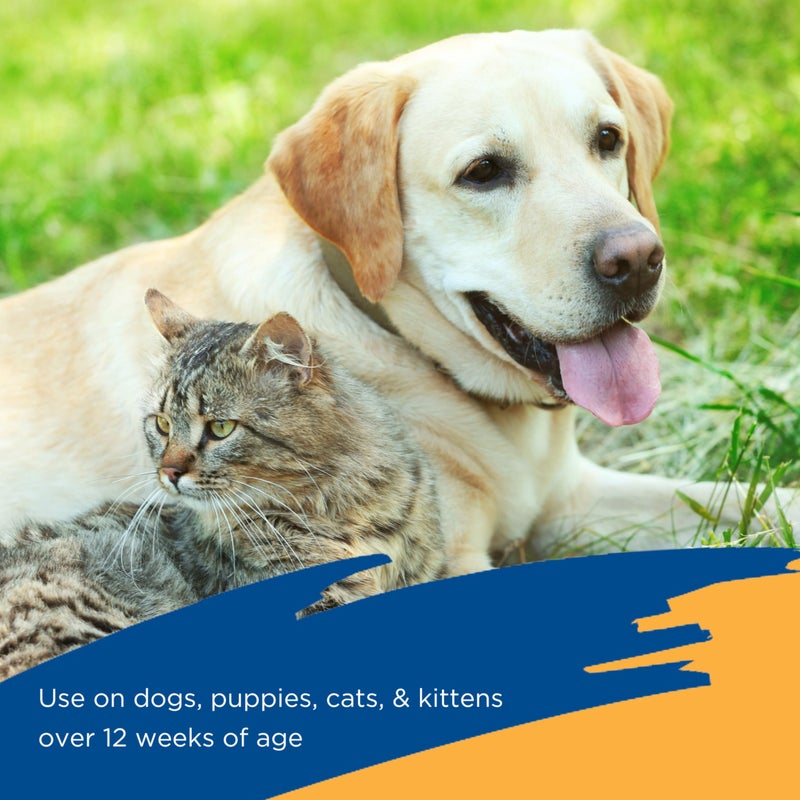 Zodiac Flea & Tick Spray for Dogs, Cats, Puppies & Kittens 16 fluid ounces - Image 2