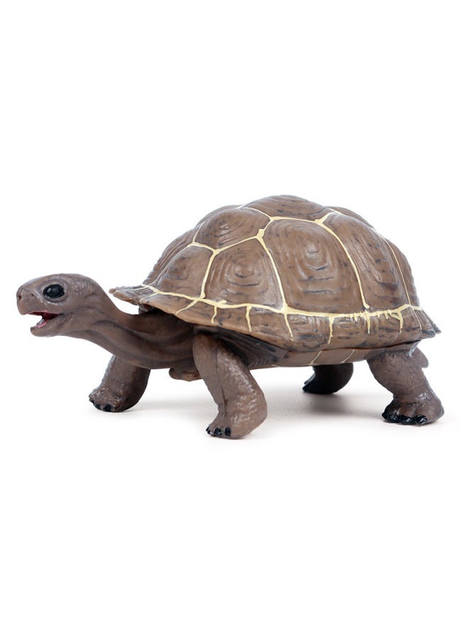 نموذج محاكاة معرفية للأطفال لحيوانات بحرية، سلحفاة صغيرة، سلحفاة فيل، سلحفاة جلدية الظهر، سلحفاة نموذج لعبة زينة - اللون: DT سلحفاة صغيرة صلبة 12 مجموعة - Image 5