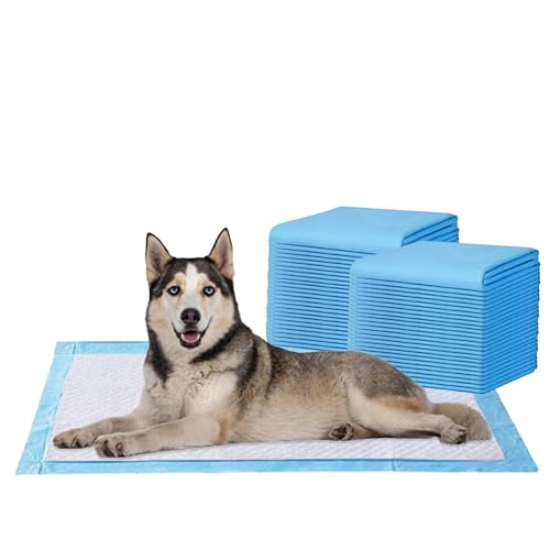 AMORITE 60x90 cm Dog Pee Pads - 50 Count Potty Training Pads for Dogs, Leak-Proof Protection & Odor Control, Perfect for Potty Training, Pet Training Pads, Pee Mat for Dogs - Image 1