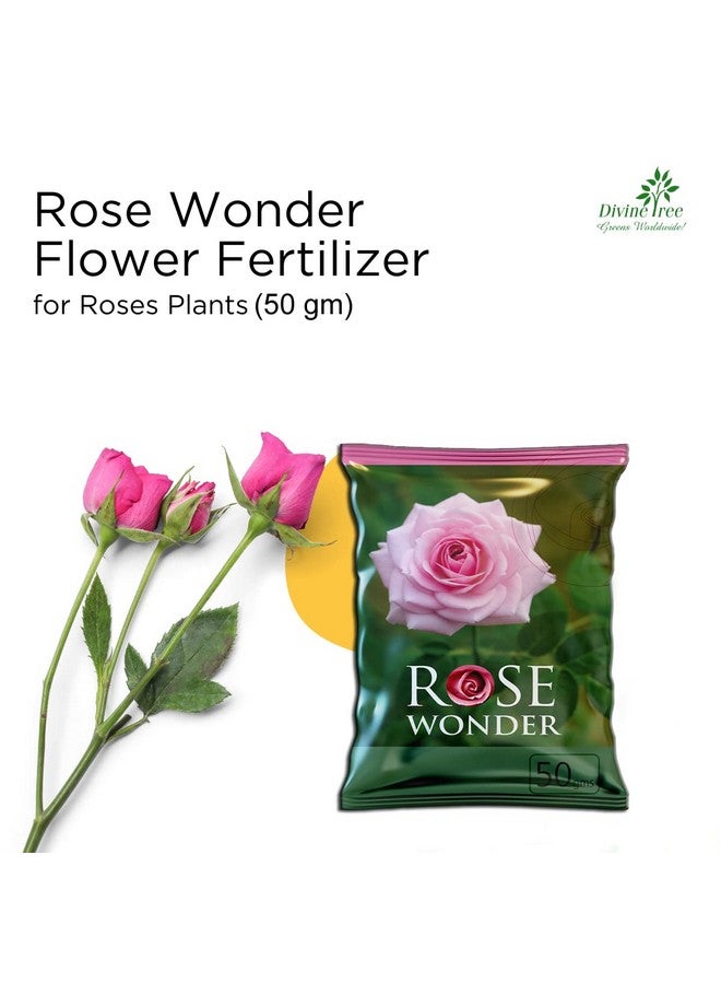 DIVINE TREE غذاء نباتي عضوي من ديفين تري لوردية الورد - لنمو النباتات - يعزز التفرع وإزهار الأزهار (50 جرام) - Image 4