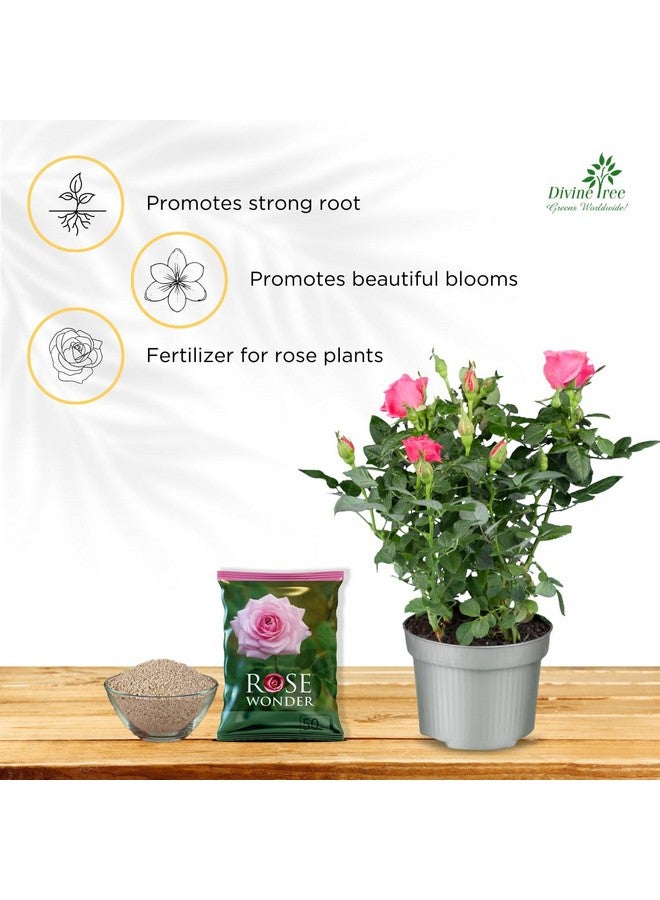 DIVINE TREE غذاء نباتي عضوي من ديفين تري لوردية الورد - لنمو النباتات - يعزز التفرع وإزهار الأزهار (50 جرام) - Image 2