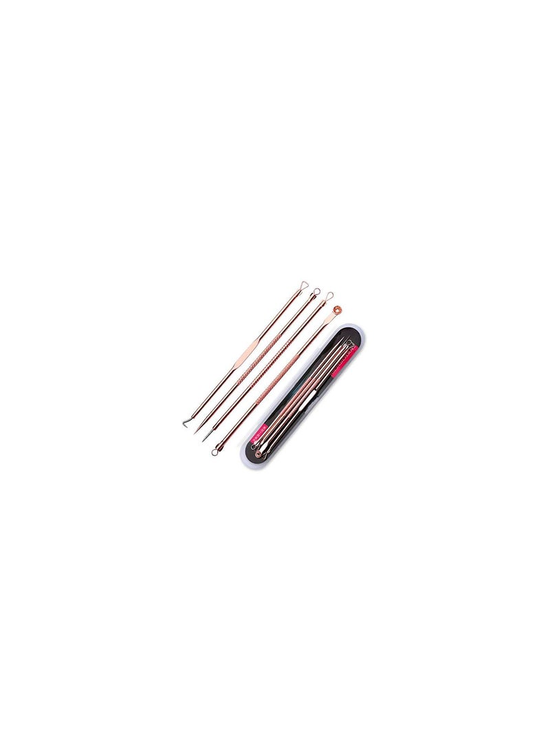 GGOOT 4Pcs/Set Professional Portable Dual Heads Needle Blackhead Remover Pimple Acne Salon Beauty Kit Set - Image 4