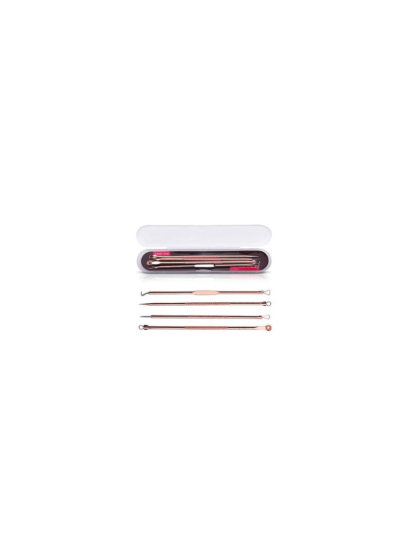 GGOOT 4Pcs/Set Professional Portable Dual Heads Needle Blackhead Remover Pimple Acne Salon Beauty Kit Set - Image 5