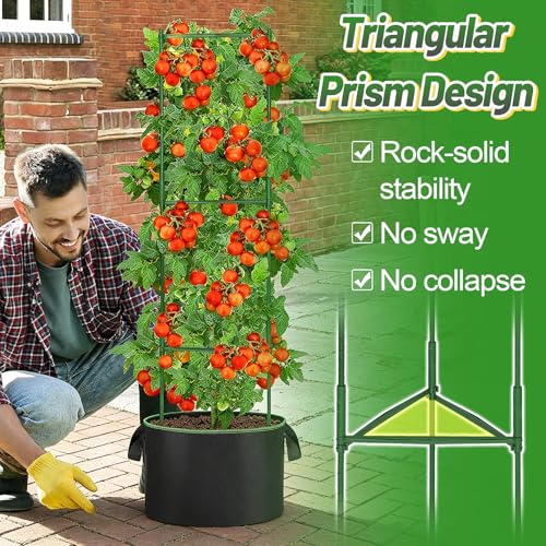ANPHSIN Sturdy Triangle Tomato Cage with Movable 10 Gal Grow Bags 3 Sets 47 Plants Garden Trellis Planters Support for Indoor Outdoor Beans Peppers Eggplants Climbing Vegetables - Image 3