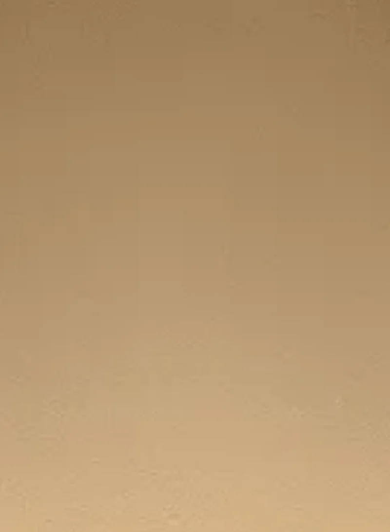 Paese PAESE Illuminating & Covering Powder 1C