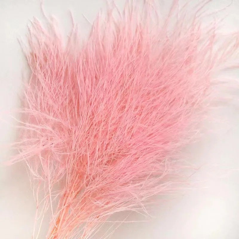 Bluejw Feathery Dried Flowers Bouquet - Natural Preserved Plants for Wedding, Christmas, Valentine's Day, Graduation, Easter & DIY Decor - Image 1