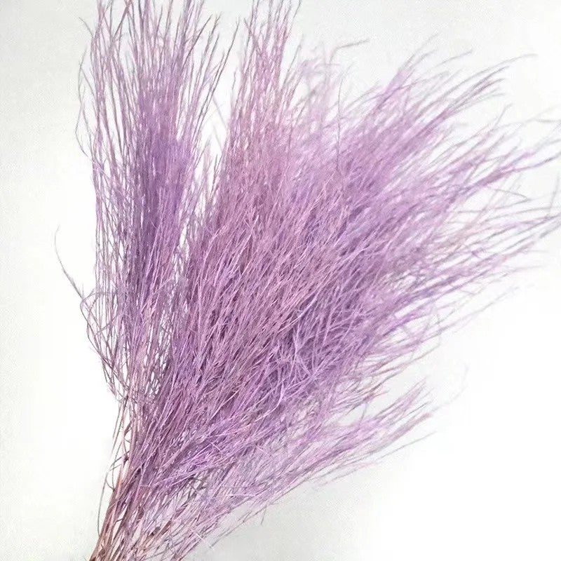 Bluejw Feathery Dried Flowers Bouquet - Natural Preserved Plants for Wedding, Christmas, Valentine's Day, Graduation, Easter & DIY Decor - Image 5